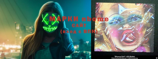 стаф Заводоуковск