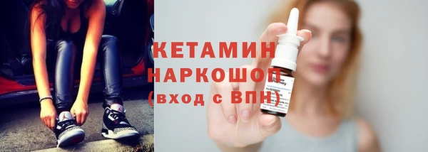 стаф Заводоуковск