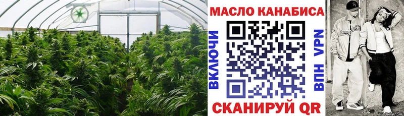 Купить где  Зима  ТГК жижа 