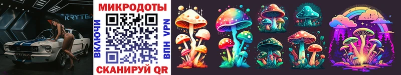 Купить  Зима  Псилоцибиновые грибы Cubensis 